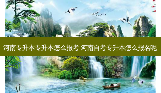河南专升本专升本怎么报考 河南自考专升本怎么报名呢-第1张图片-天智网 河南专升本专升本怎么报考 河南自考专升本怎么报名呢-第1张图片-天智网