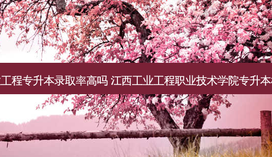 工业工程专升本录取率高吗 江西工业工程职业技术学院专升本概率-第1张图片-天智网 工业工程专升本录取率高吗 江西工业工程职业技术学院专升本概率-第1张图片-天智网