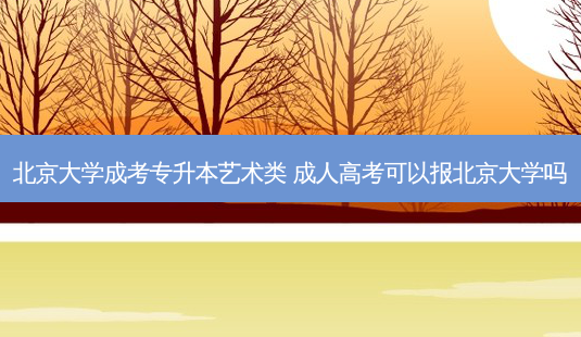 北京大学成考专升本艺术类 成人高考可以报北京大学吗-第1张图片-天智网 北京大学成考专升本艺术类 成人高考可以报北京大学吗-第1张图片-天智网