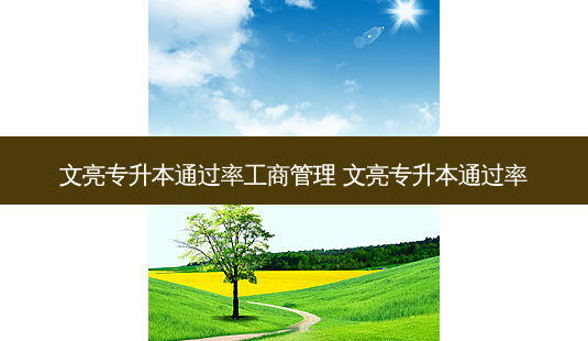文亮专升本通过率工商管理 文亮专升本通过率-第1张图片-天智网 文亮专升本通过率工商管理 文亮专升本通过率-第1张图片-天智网