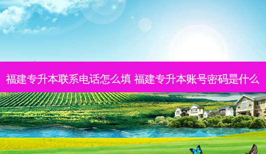 福建专升本联系 *** 怎么填 福建专升本账号密码是什么-第1张图片-天智网 福建专升本联系 *** 怎么填 福建专升本账号密码是什么-第1张图片-天智网