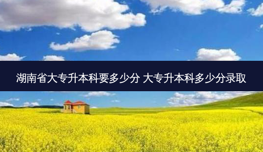 湖南省大专升本科要多少分 大专升本科多少分录取-第1张图片-天智网 湖南省大专升本科要多少分 大专升本科多少分录取-第1张图片-天智网