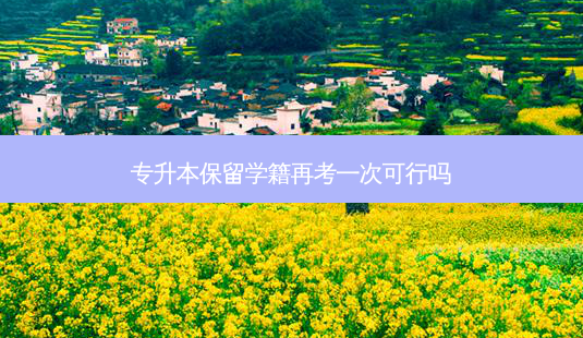专升本保留学籍再考一次可行吗-第1张图片-天智网 专升本保留学籍再考一次可行吗-第1张图片-天智网