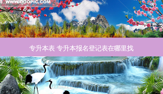 专升本表 专升本报名登记表在哪里找-第1张图片-天智网 专升本表 专升本报名登记表在哪里找-第1张图片-天智网