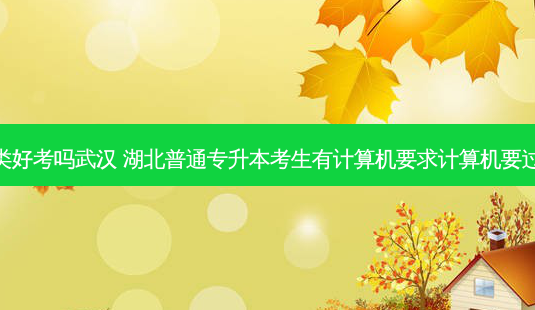 专升本计算机类好考吗武汉 湖北普通专升本考生有计算机要求计算机要过一级还是二级-第1张图片-天智网 专升本计算机类好考吗武汉 湖北普通专升本考生有计算机要求计算机要过一级还是二级-第1张图片-天智网