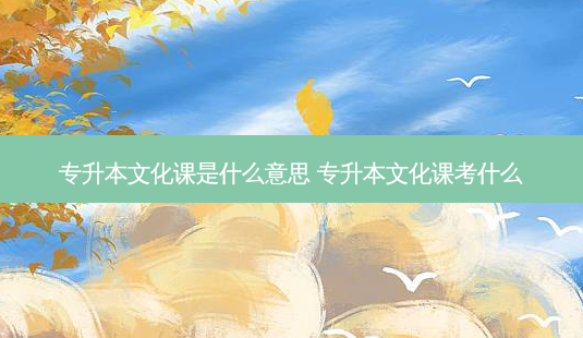 专升本文化课是什么意思 专升本文化课考什么-第1张图片-天智网 专升本文化课是什么意思 专升本文化课考什么-第1张图片-天智网