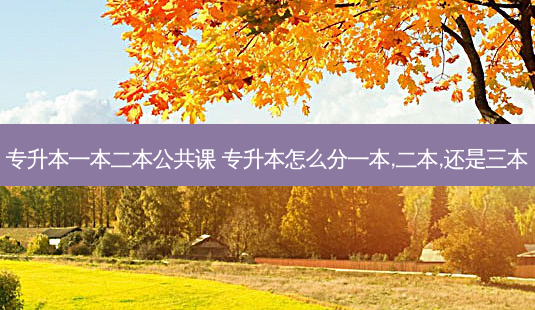 专升本一本二本公共课 专升本怎么分一本,二本,还是三本-第1张图片-天智网 专升本一本二本公共课 专升本怎么分一本,二本,还是三本-第1张图片-天智网