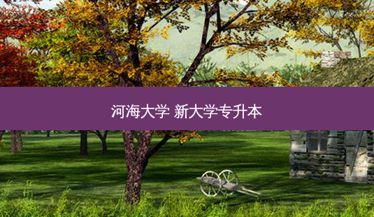 河海大学 新大学专升本-第1张图片-天智网 河海大学 新大学专升本-第1张图片-天智网
