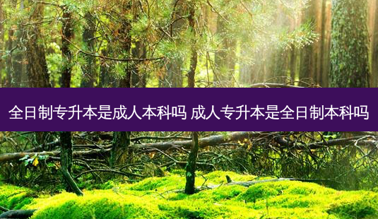 全日制专升本是成人本科吗 成人专升本是全日制本科吗-第1张图片-天智网 全日制专升本是成人本科吗 成人专升本是全日制本科吗-第1张图片-天智网
