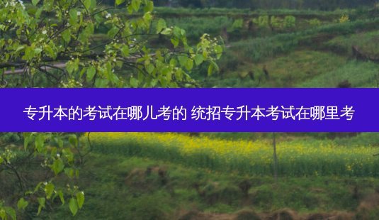 专升本的考试在哪儿考的 统招专升本考试在哪里考-第1张图片-天智网 专升本的考试在哪儿考的 统招专升本考试在哪里考-第1张图片-天智网