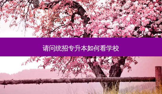 请问统招专升本如何看学校-第1张图片-天智网 请问统招专升本如何看学校-第1张图片-天智网