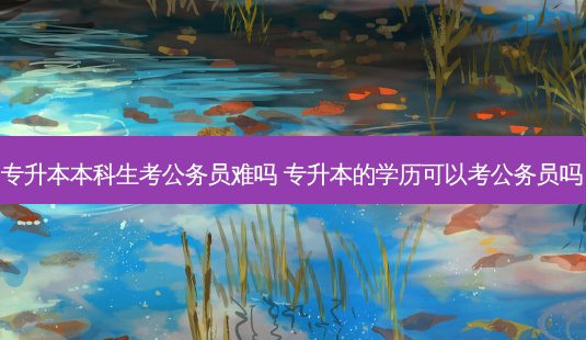 专升本本科生考公务员难吗 专升本的学历可以考公务员吗-第1张图片-天智网 专升本本科生考公务员难吗 专升本的学历可以考公务员吗-第1张图片-天智网