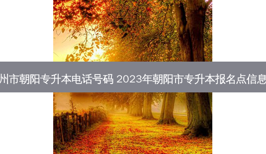 郑州市朝阳专升本 *** 号码 2023年朝阳市专升本报名点信息表-第1张图片-天智网 郑州市朝阳专升本 *** 号码 2023年朝阳市专升本报名点信息表-第1张图片-天智网