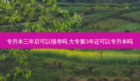 专升本三年后可以报考吗 大专第3年还可以专升本吗-第1张图片-天智网 专升本三年后可以报考吗 大专第3年还可以专升本吗-第1张图片-天智网