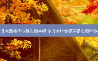 专升本即将毕业算应届生吗 专升本毕业是不是应届毕业生