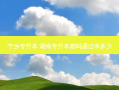 宁乡专升本 湖南专升本难吗通过率多少