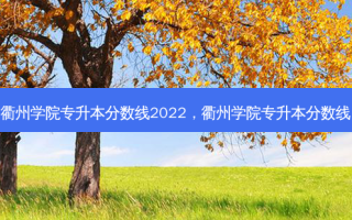 衢州学院专升本分数线2022，衢州学院专升本分数线