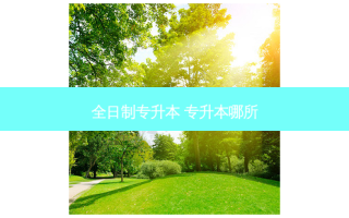 全日制专升本 专升本哪所