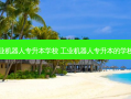 四川工业机器人专升本学校 工业机器人专升本的学校有哪些