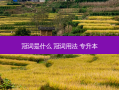 冠词是什么 冠词用法 专升本