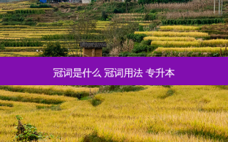 冠词是什么 冠词用法 专升本