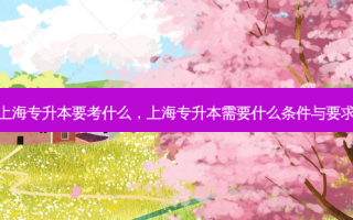 上海专升本要考什么，上海专升本需要什么条件与要求