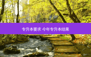 专升本要求 今年专升本结果