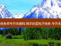 电子商务师专升本难吗 我学的是电子商务,专升本难吗