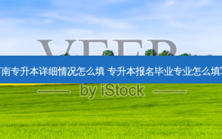 河南专升本详细情况怎么填 专升本报名毕业专业怎么填写