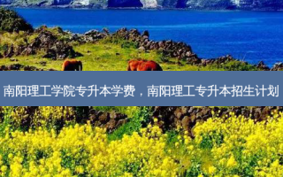 南阳理工学院专升本学费，南阳理工专升本招生计划
