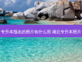 专升本报名的照片有什么用 湖北专升本照片