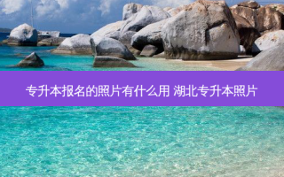 专升本报名的照片有什么用 湖北专升本照片