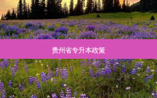 贵州省专升本政策
