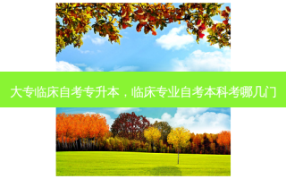 大专临床自考专升本，临床专业自考本科考哪几门