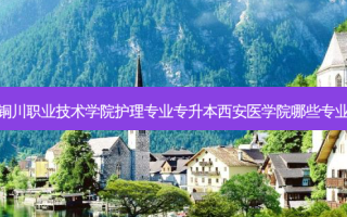 铜川职业技术学院护理专业专升本西安医学院哪些专业