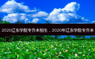 2020辽东学院专升本招生，2020年辽东学院专升本