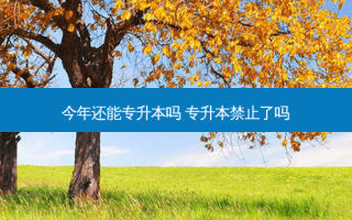 今年还能专升本吗 专升本禁止了吗