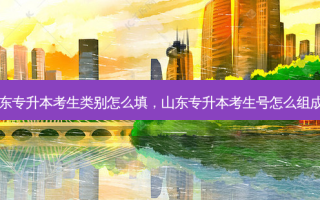 山东专升本考生类别怎么填，山东专升本考生号怎么组成的