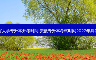安徽省大学专升本开考时间 安徽专升本考试时间2022年具体时间