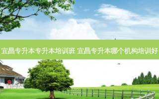 宜昌专升本专升本培训班 宜昌专升本哪个机构培训好