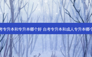 成考专升本和专升本哪个好 自考专升本和成人专升本哪个好