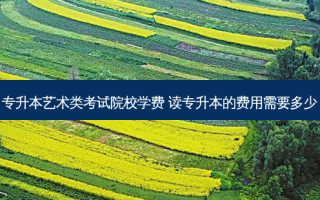专升本艺术类考试院校学费 读专升本的费用需要多少