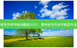 贵州省专升本学校分数线2023，贵州省专升本学校及专业目录