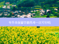 专升本保留学籍再考一次可行吗