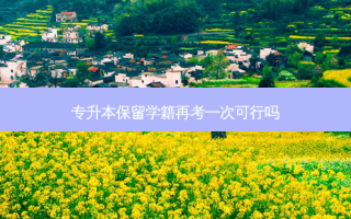 专升本保留学籍再考一次可行吗