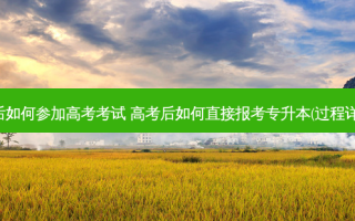 专升本后如何参加高考考试 高考后如何直接报考专升本(过程详细一点)