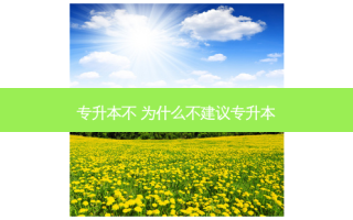 专升本不 为什么不建议专升本