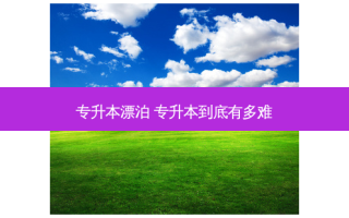 专升本漂泊 专升本到底有多难