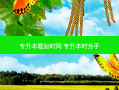 专升本 *** 短时间 专升本时分手